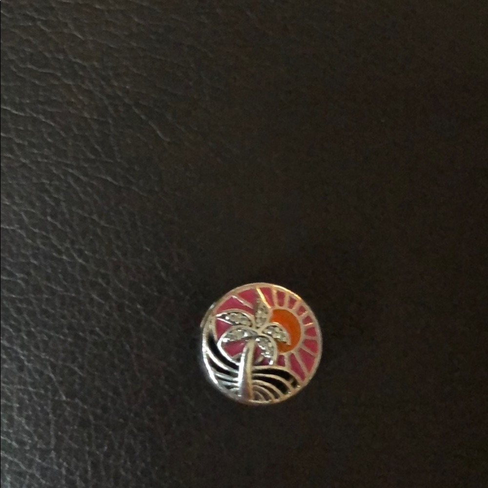 Brand new pandora charm